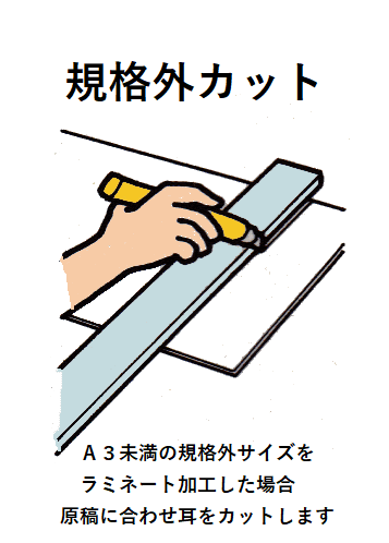 規格外カットの画像