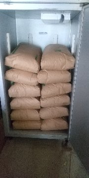 令和7年産　コシヒカリ玄米30kg  産地は広島県賀茂台地　の画像