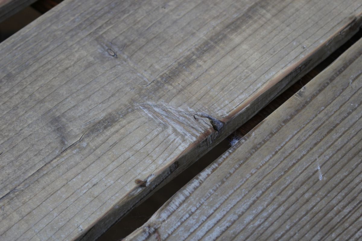 OLD ASHIBA（杉古材）フリー板【165x20】 厚20ｍｍ×幅160〜170ｍｍ程度×長さ1010〜1100ｍｍ　〈受注生産〉画像