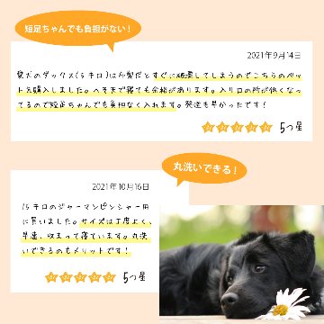 プラスチックベッド シエスタ SIESTA DX 8 犬 　洗えるの画像