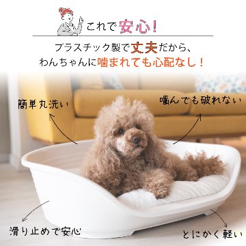 プラスチックベッド シエスタ SIESTA DX 10 犬 　洗えるの画像