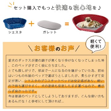 プラスチックベッド シエスタ SIESTA DX 10 犬 　洗えるの画像