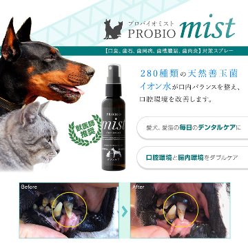 【ポイント2倍】楽天カテゴリーランキング1位獲得実績！!犬猫の歯みがきスプレー80ｍｌ【プロバイオミスト】の画像