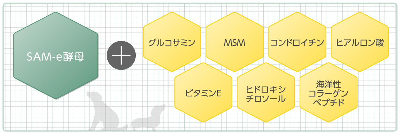 【ポイント2倍】これ一本でしっかり実感！ペット用関節サポートサプリ「プロシアン」の画像