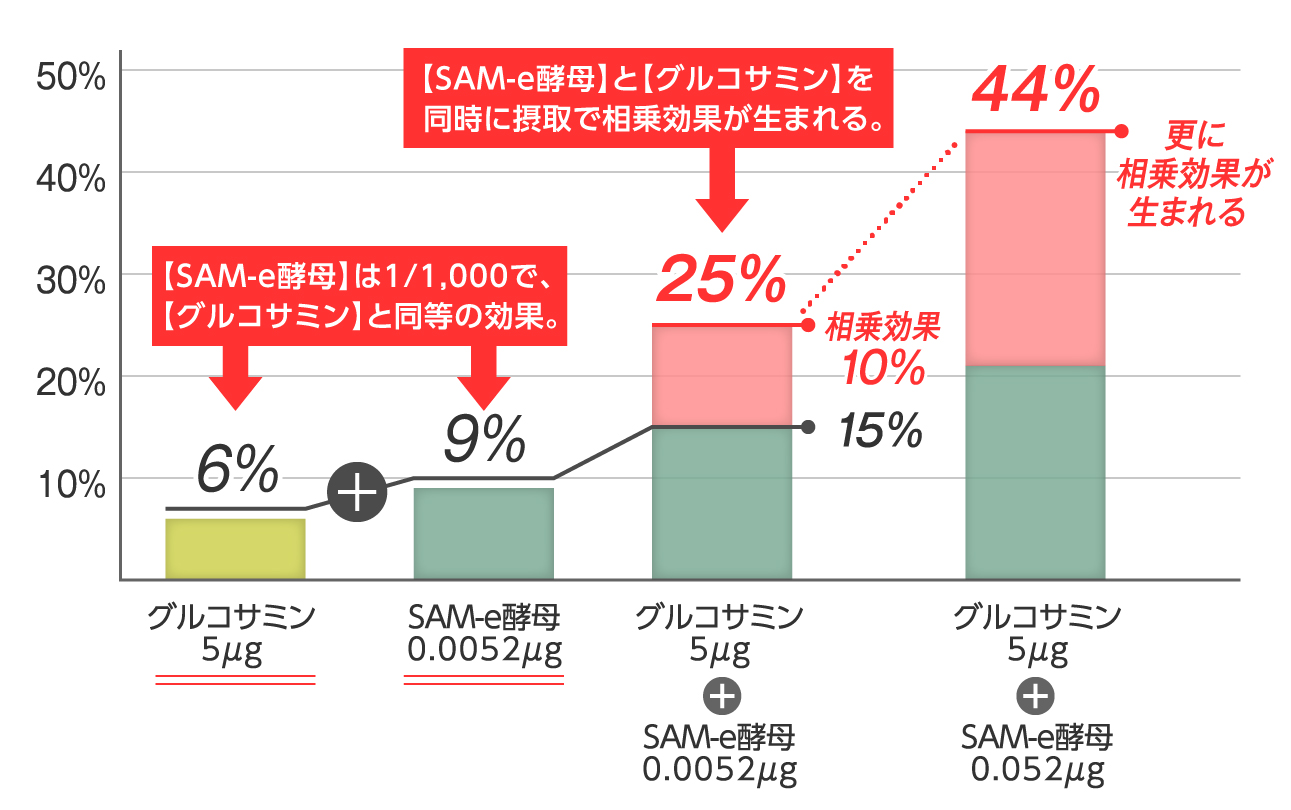 【ポイント2倍】これ一本でしっかり実感！ペット用関節サポートサプリ「プロシアン」の画像