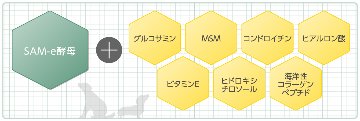 【ポイント2倍】これ一本でしっかり実感！ペット用関節サポートサプリ「プロシアン」の画像