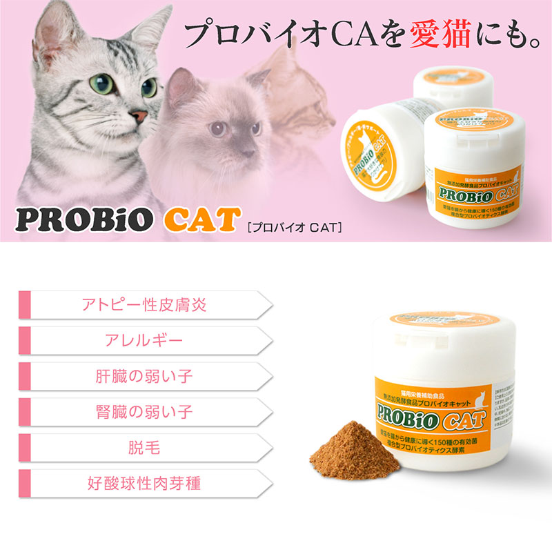 【ポイント2倍】猫の目ヤニ、皮膚病、アレルギー、腎臓サポートに。プロバイオCAT かつお(粉末45g)約1か月~45日分の画像