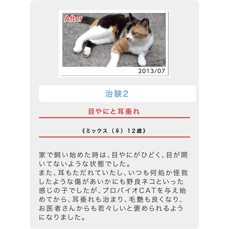 【ポイント2倍】猫の目ヤニ、皮膚病、アレルギー、腎臓サポートに。プロバイオCAT かつお(粉末45g)約1か月~45日分の画像