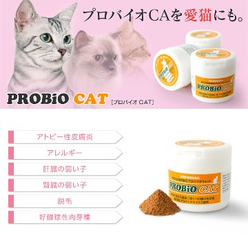 【ポイント2倍】猫の目ヤニ、皮膚病、アレルギー、腎臓サポートに。プロバイオCAT かつお(粉末45g)約1か月~45日分の画像