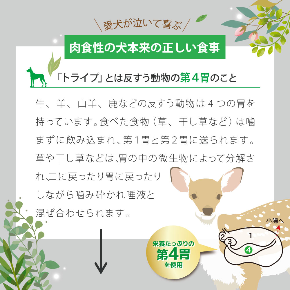 成犬用 ドッグフード(ウエット) NUTRIPE PURE 各食185gの画像