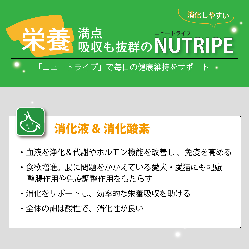 成犬用 ドッグフード(ウエット) NUTRIPE PURE 各食185gの画像