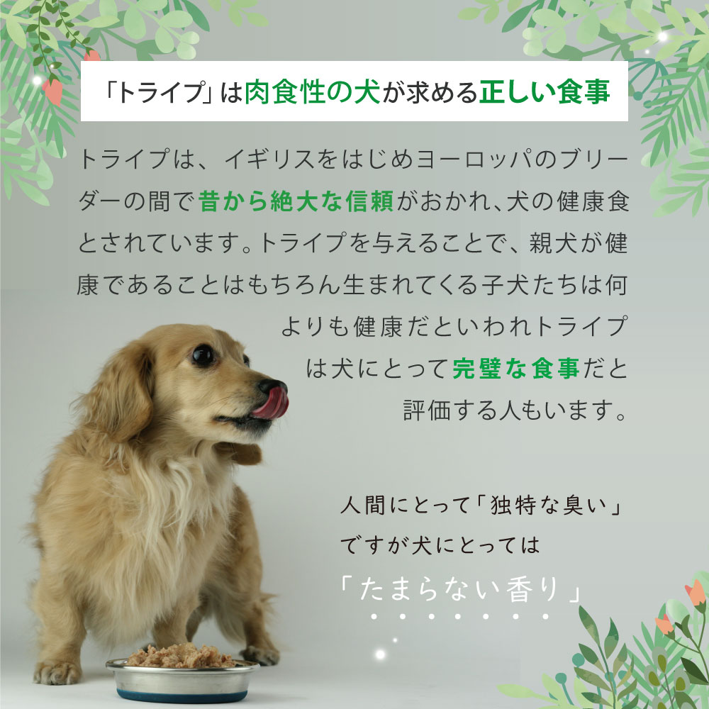 成犬用 ドッグフード(ウエット) NUTRIPE PURE 各食185gの画像