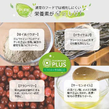 成犬用 ドッグフード(ウエット) NUTRIPE PURE 各食185gの画像