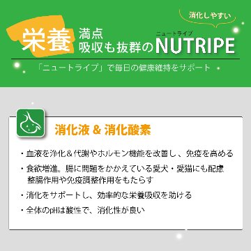 成犬用 ドッグフード(ウエット) NUTRIPE PURE 各食185gの画像