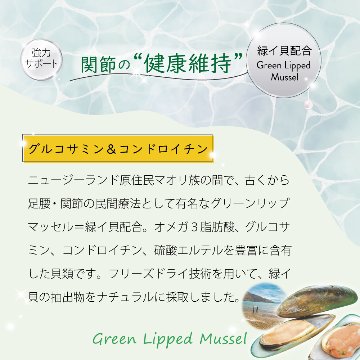 成犬用 ドッグフード(ウエット) NUTRIPE PURE 各食185gの画像